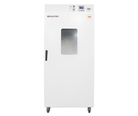 BGZ-420电热鼓风干燥箱